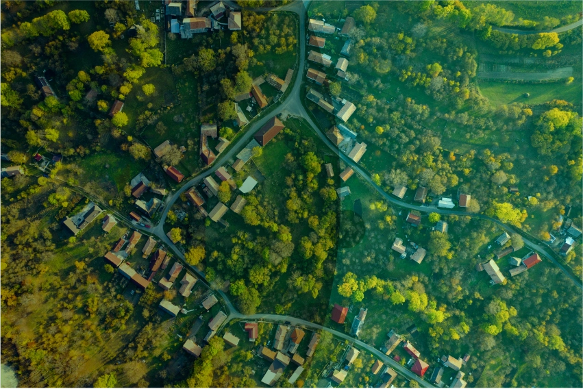 Periarty Home City Forest